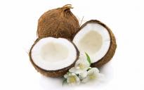 Queen PFM Special Vanilla Coconut (Ванильно-кокосовые) 100 мл